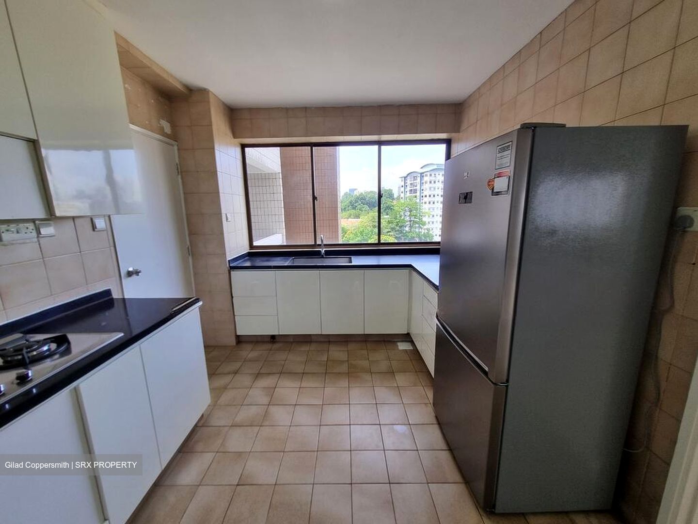 The Cairnhill (D9), Condominium #511347061